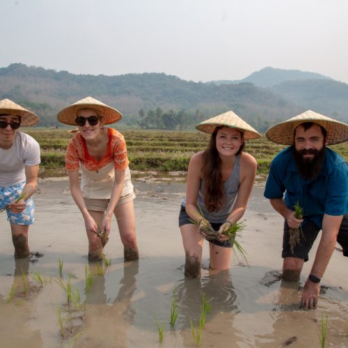 Rice Farming Experience in Living Land Farm, Kuang Si Waterfalls (F25)