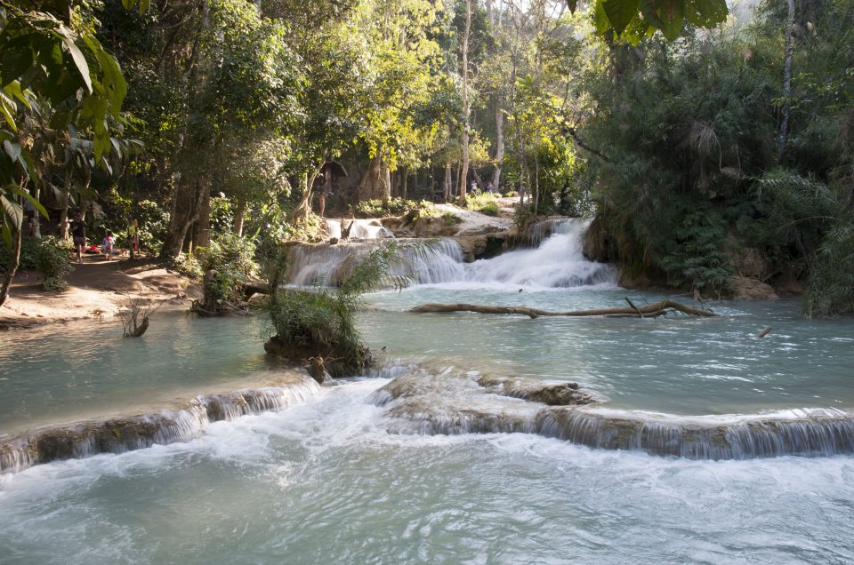 Tad Sae Waterfall – Manifa Travel, Luang Prabang, Laos Tour Company