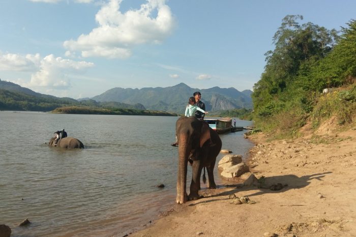 2-Day Family Overnight Elephant Mahout Experience