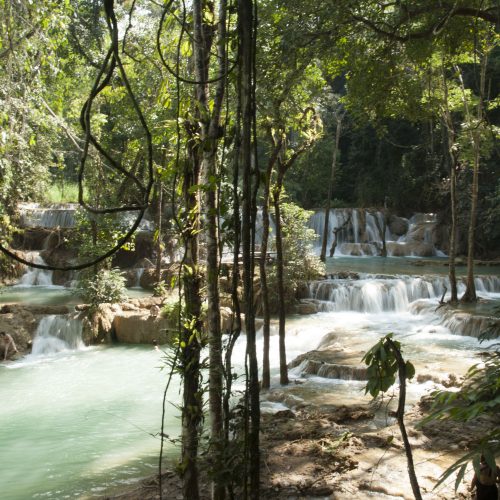 Full-Day Glimpse Elephant Mahout Experience, Tad Sae Waterfalls (F22)