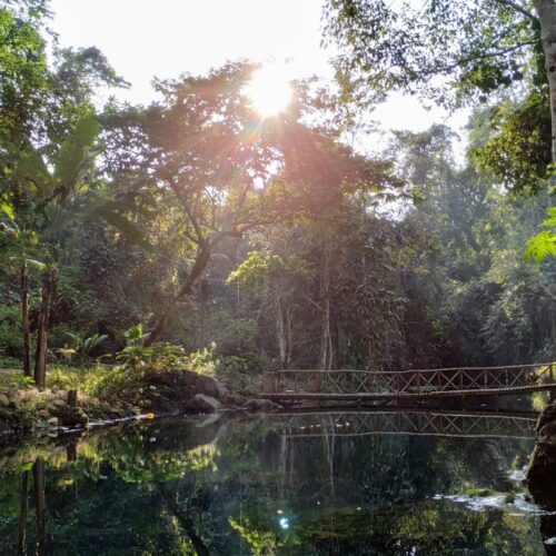 Kuang Si Waterfalls Forest Easy Hike & Mekong Sunset Cruise (F18)