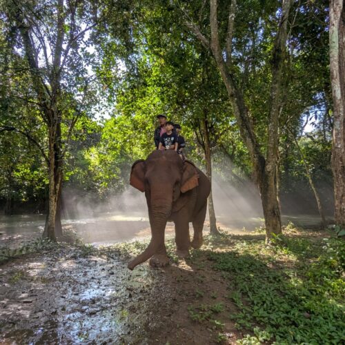 Full-Day Glimpse Elephant Mahout Experience + Kuang Si Waterfalls (F03)