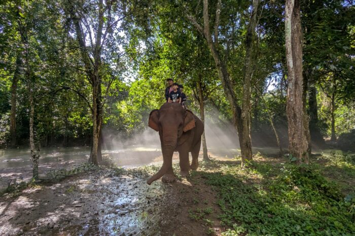 Full-Day Glimpse Elephant Mahout Experience + Kuang Si Waterfalls (F03)